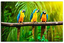 Obraz Papagáje v pralese 29199